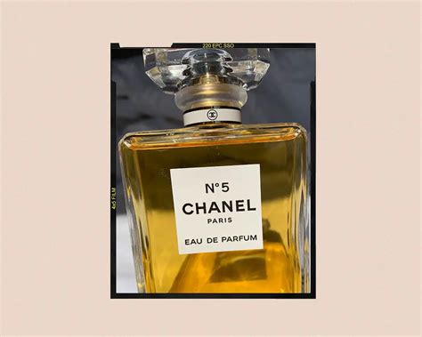 what does chanel paris smell like|Chanel no 5 smells like.